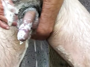 Amateur Big Cock Couple Hairy HD Huge Cock Jerking Mature