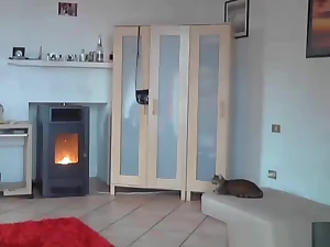 Brunette puts a toy in her ass