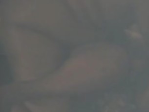 কালো বাঁড়ার আবলুস বড় সুন্দরী মহিলা সাদাসিধা মাগো সুন্দরি সেক্সি মহিলার স্ত্রী